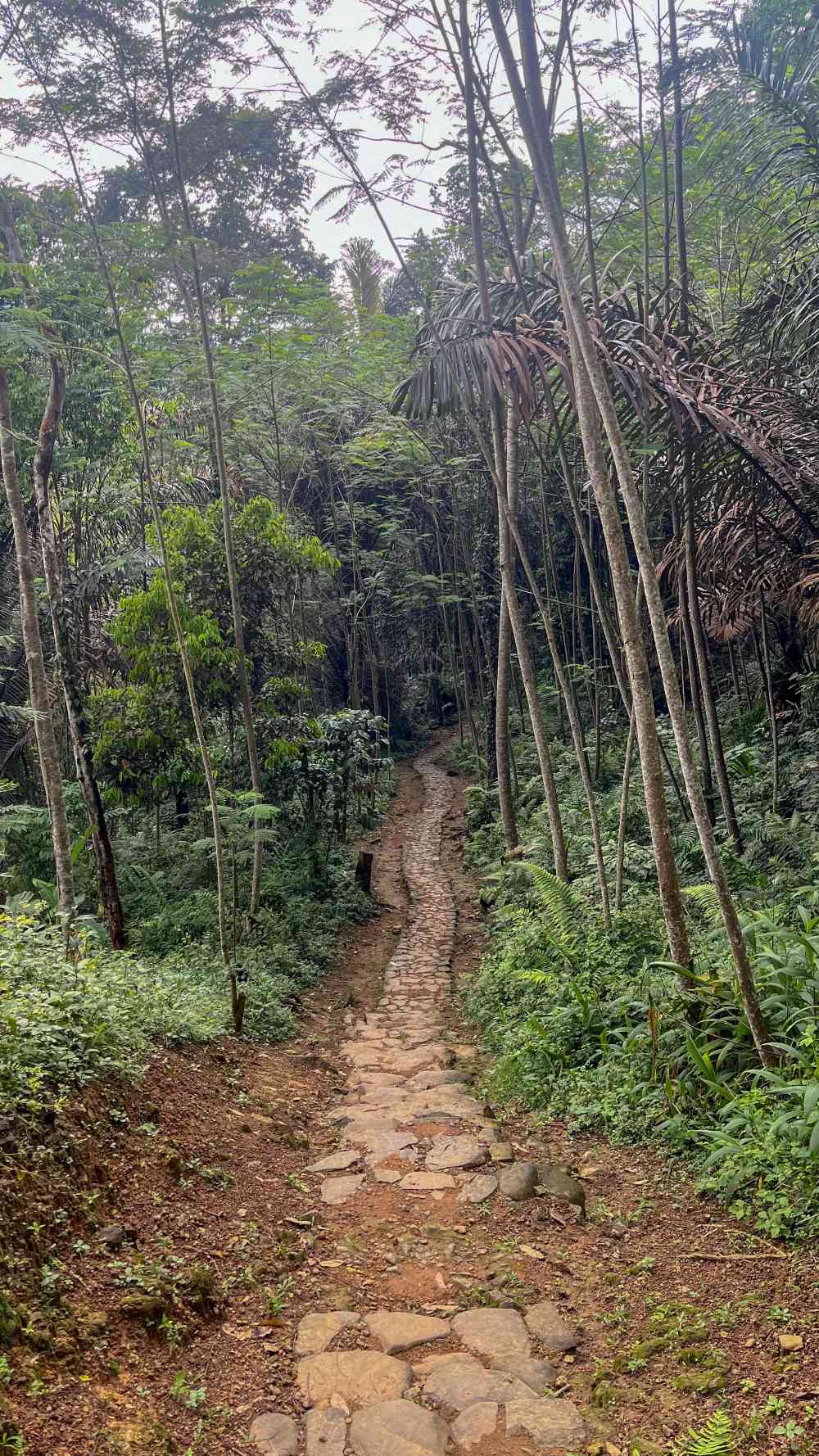 Jembatan Baduy